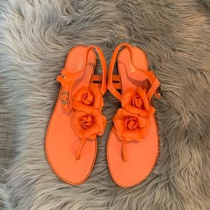 Beautiful summary flippers